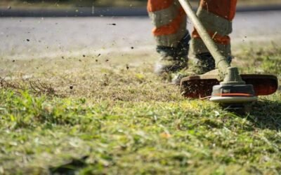 Débroussailleuse thermique : le guide complet pour bien choisir et entretenir