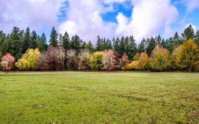 Guide complet pour préparer votre sol en automne efficacement